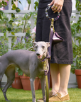 Purrble Leather Dog Leash