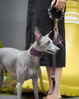 Purrble Leather Dog Leash