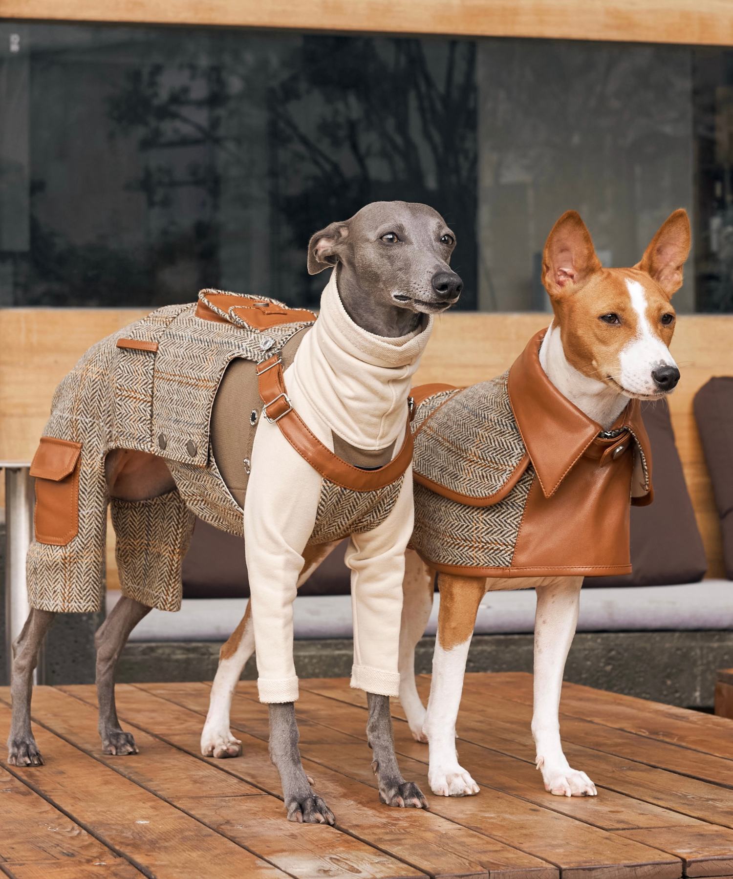 Fancy Coats