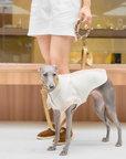 Palais Leather Dog Leash