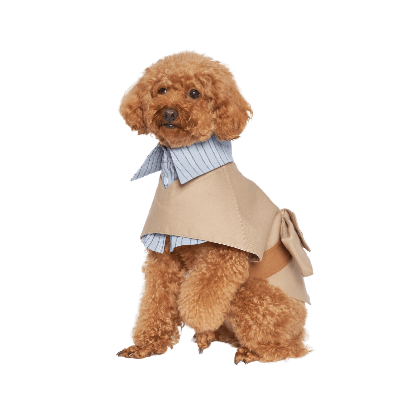 Luxury dog coats hot sale
