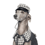 Soho Dog Hat