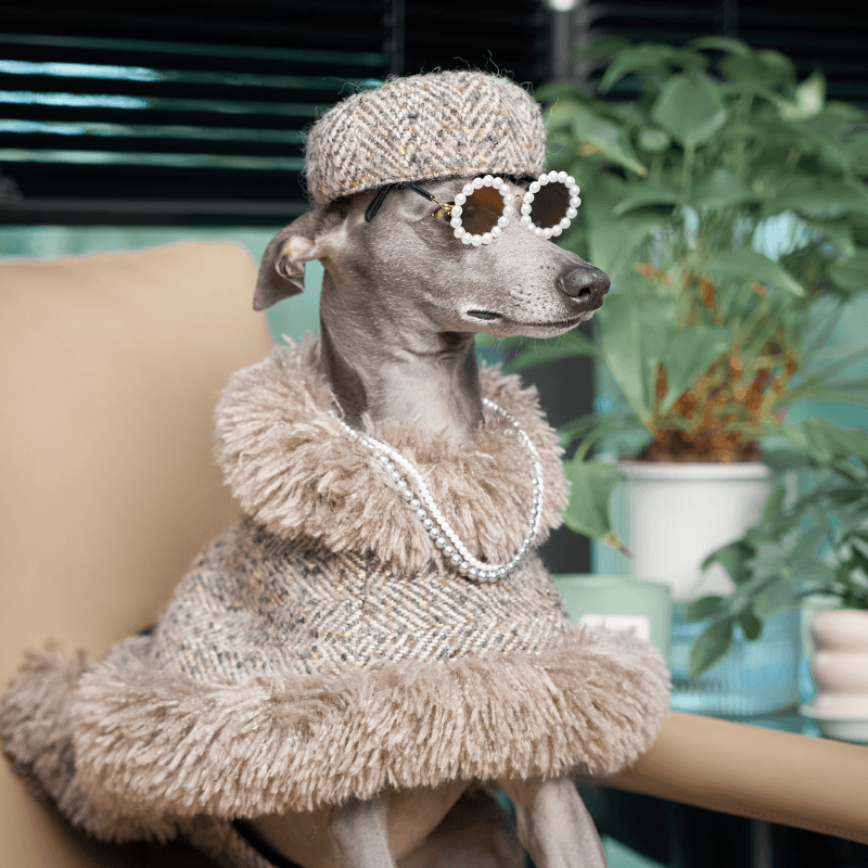Sable Dog Beret