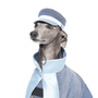 Redux Dog Hat
