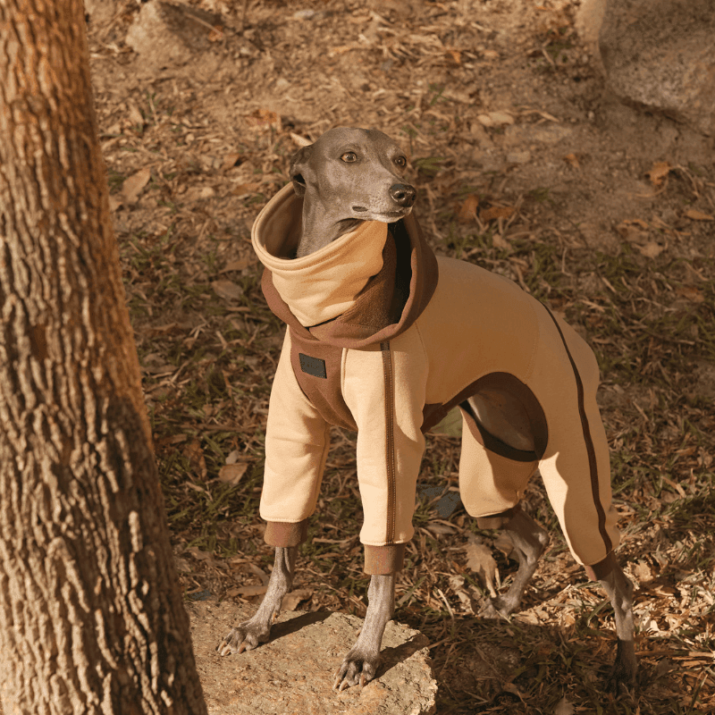 Hazelnut Hooded Onesie - BONDIR