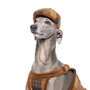 Heritage Highland Dog Newsboy Cap