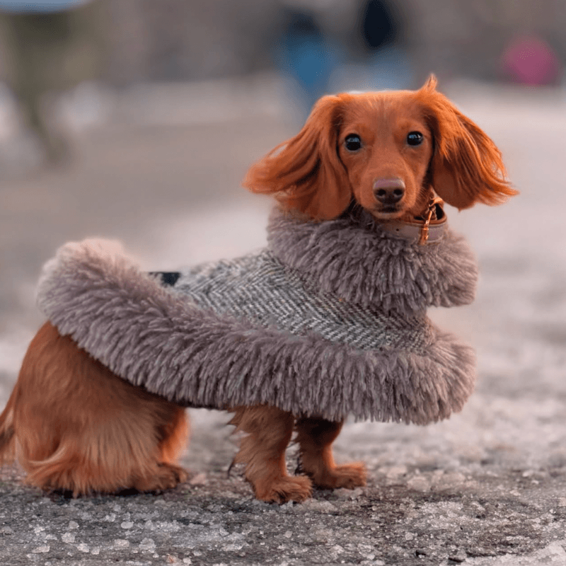 Sable Cape (Alpaca Wool Tweed)