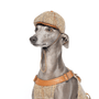 Vellure Dog Newsboy Cap