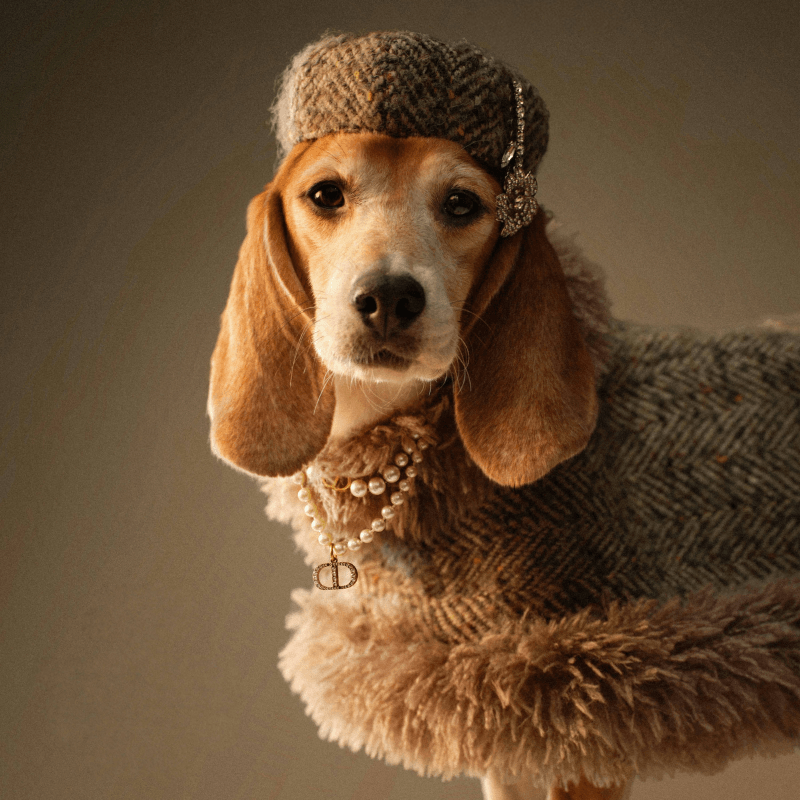 Sable Cape (Alpaca Wool Tweed)