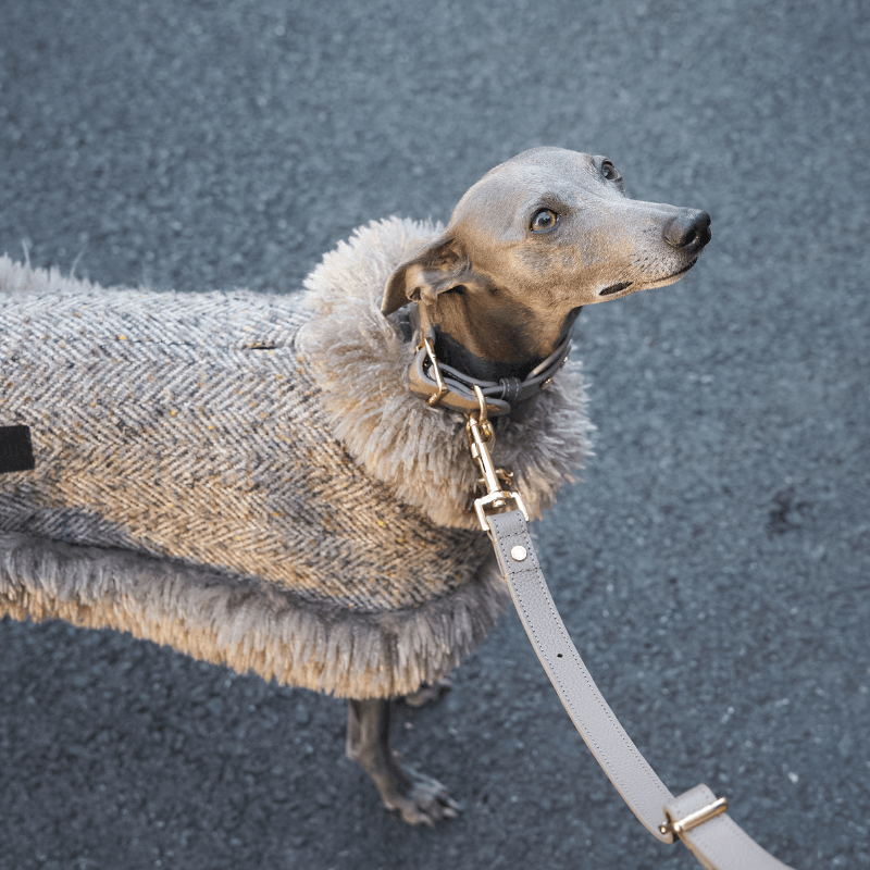 Sable Cape (Alpaca Wool Tweed)