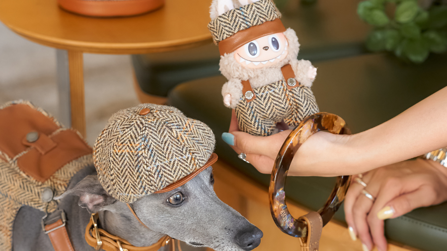 Who Wore It Best? BONDIR’s Classic Vellure Overall On Your Pup… and Labubu!