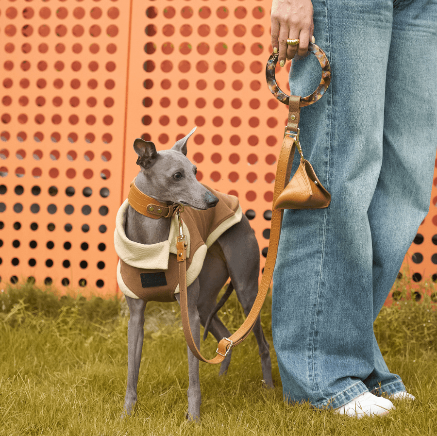 Elevate Your Pup's Style: Discover the Ultimate Dog Collars & Leashes!