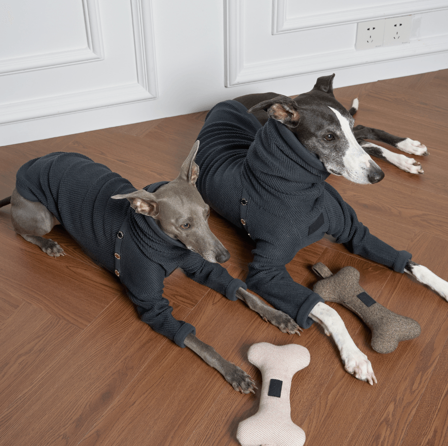 Designer Pet Apparel Store | Luxury Pet Clothing - BONDIR Designer Pet Apparel Store | Luxury Pet Clothing - BONDIR
