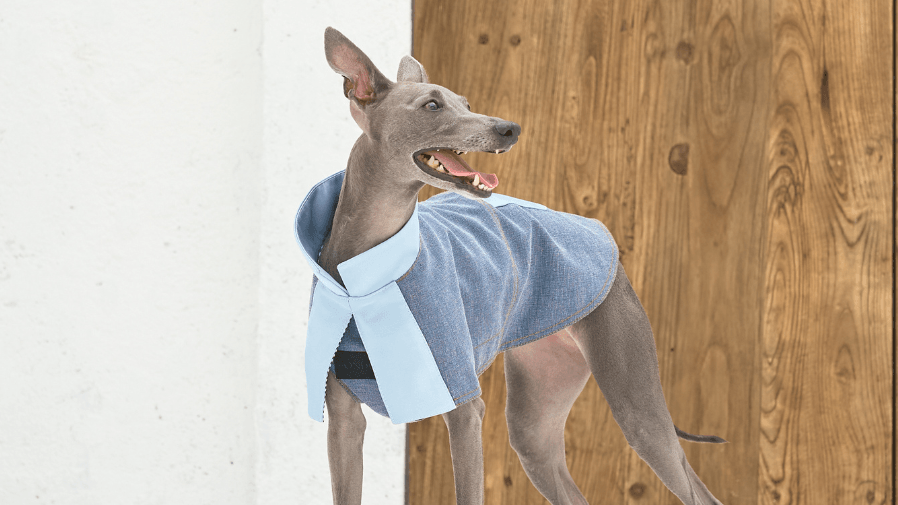 The Perfect Spring Style for Dogs: Redux Linen Denim Jacket - BONDIR
