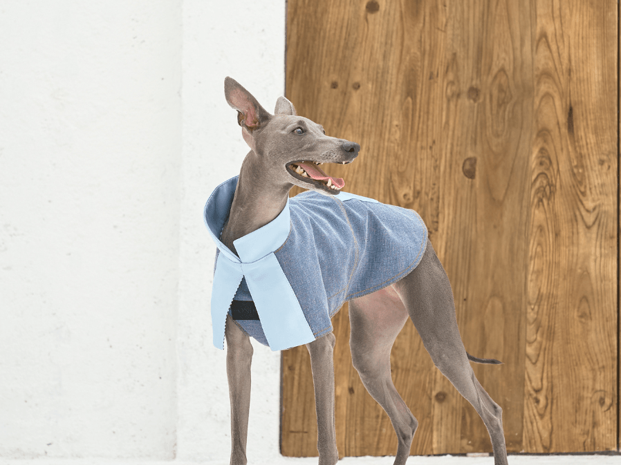 The Perfect Spring Style for Dogs: Redux Linen Denim Jacket - BONDIR