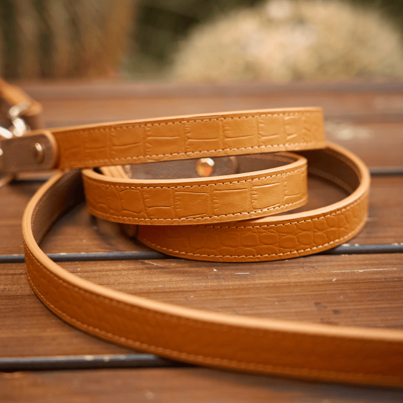 Amber Hands-Free Dog Leash