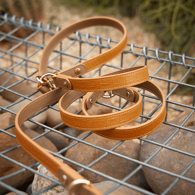 Amber Hands-Free Dog Leash