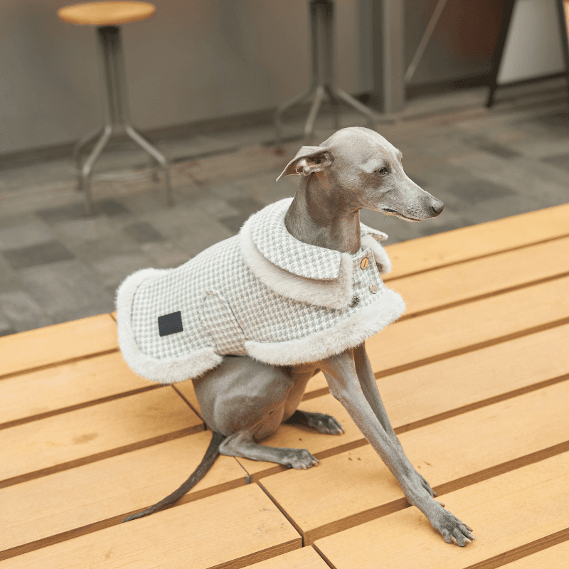 Evergreen Double Collar Coat - BONDIR