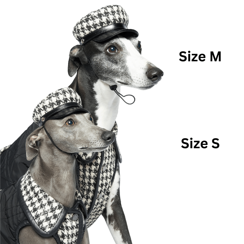 Soho Dog Hat