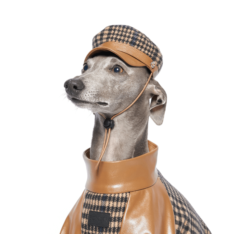 Ashwood Dog Hat