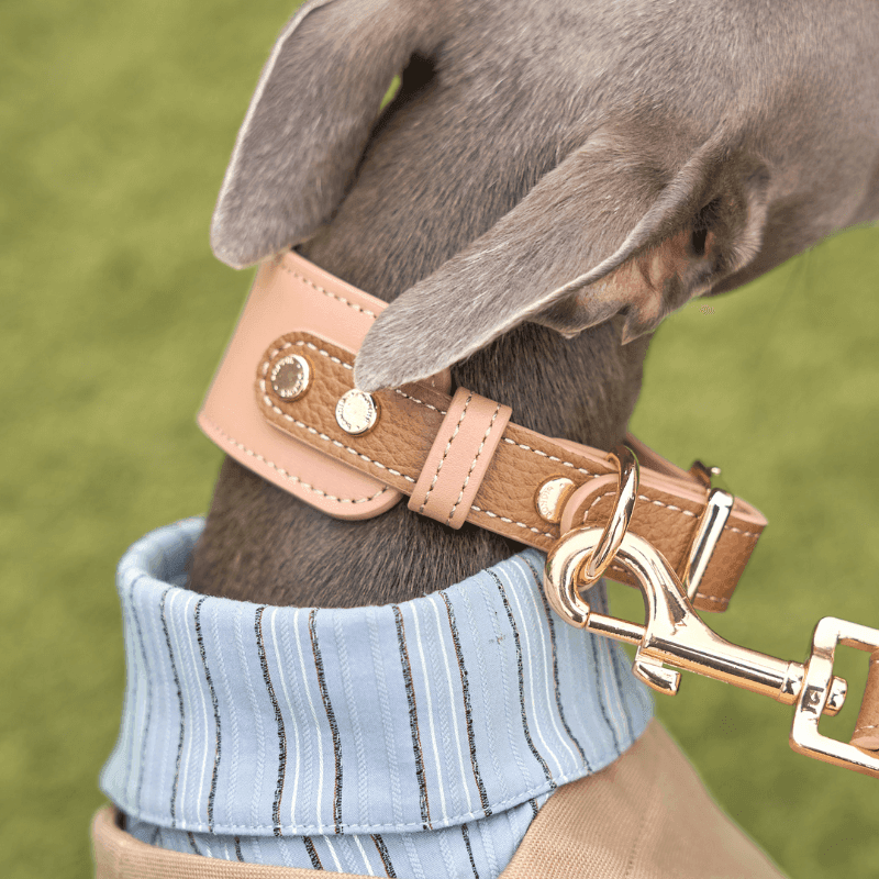 Blushwood Leather Collar - BONDIR
