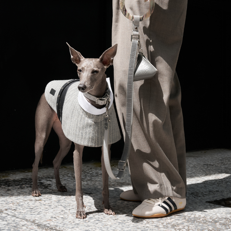 Riverton Pinstriped Wool Coat