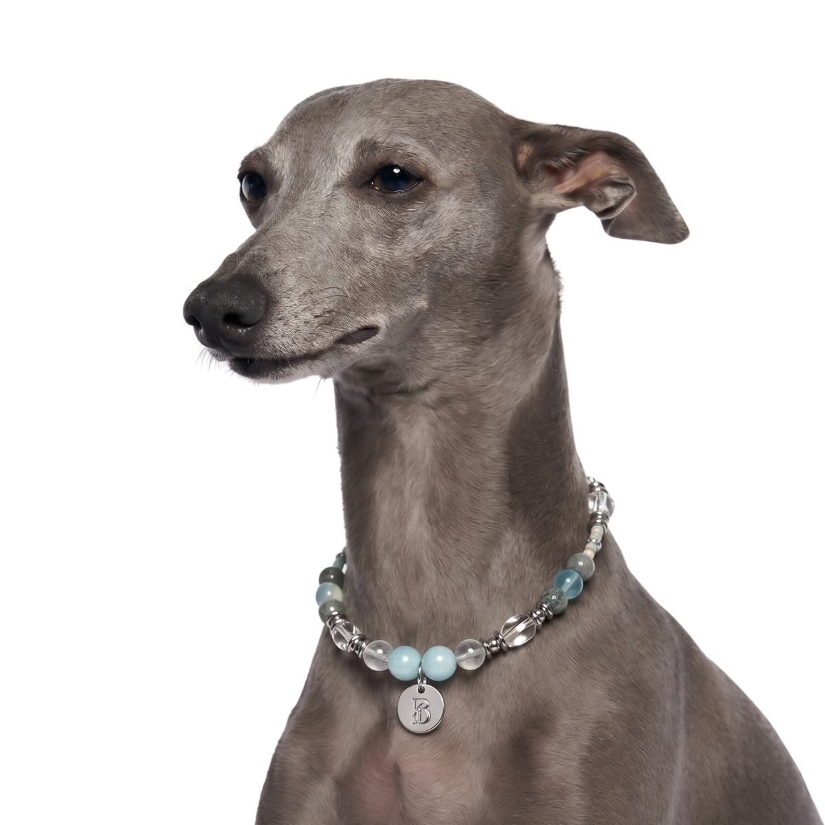Lumiere Pet Crystal Necklace