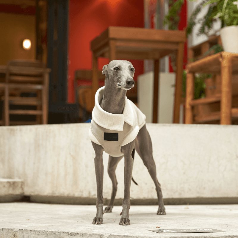 Ivory Asymmetric Collar Tank Top - BONDIR