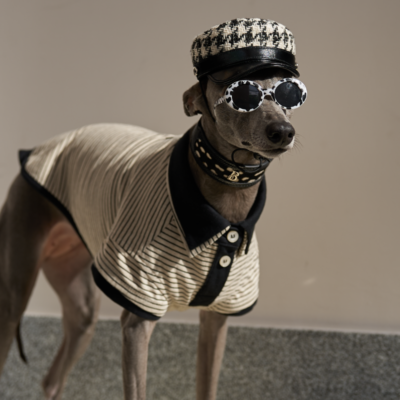 Brexton Double Layer Dog Polo