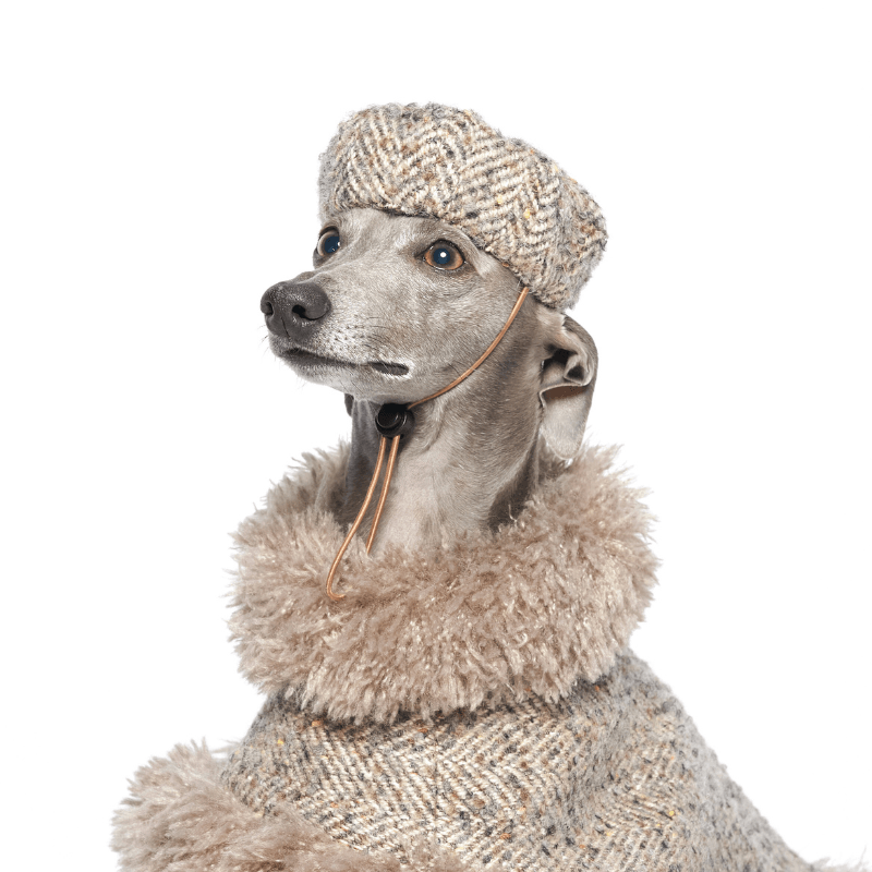 Sable Dog Beret