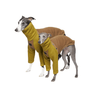 Mossy Teddy Fleece Sweater