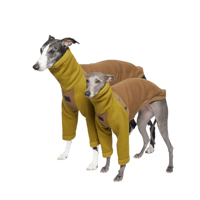 Mossy Teddy Fleece Sweater