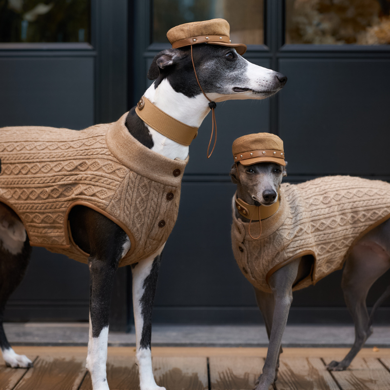 Rivark Denim Dog Hat