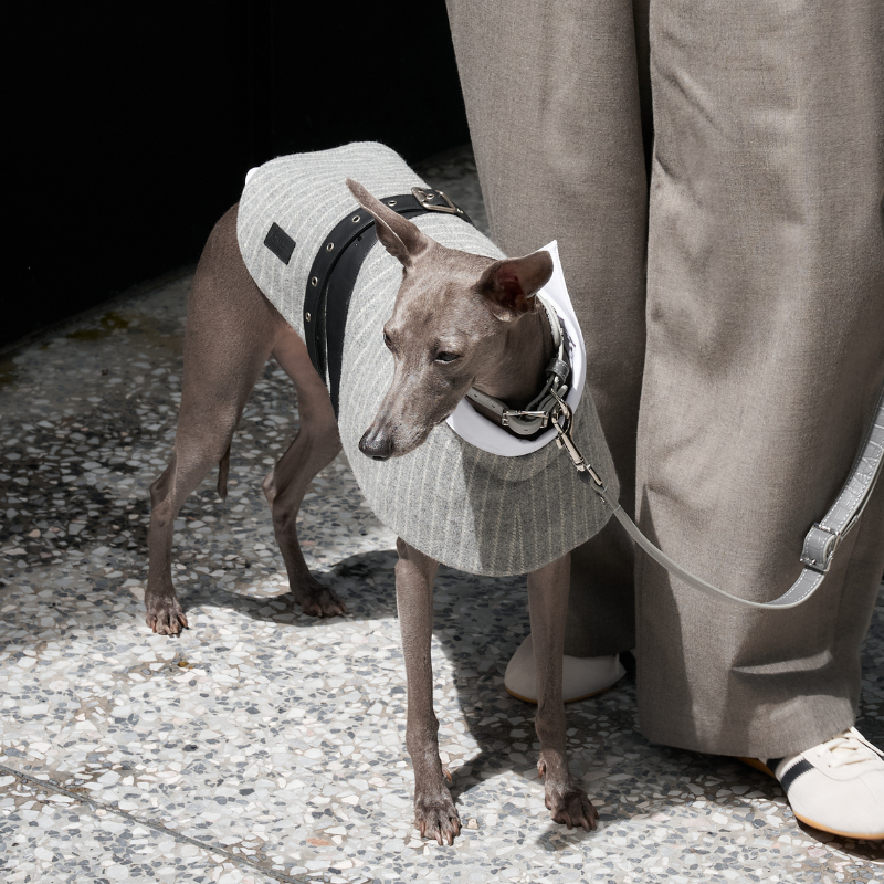 Riverton Pinstriped Wool Coat