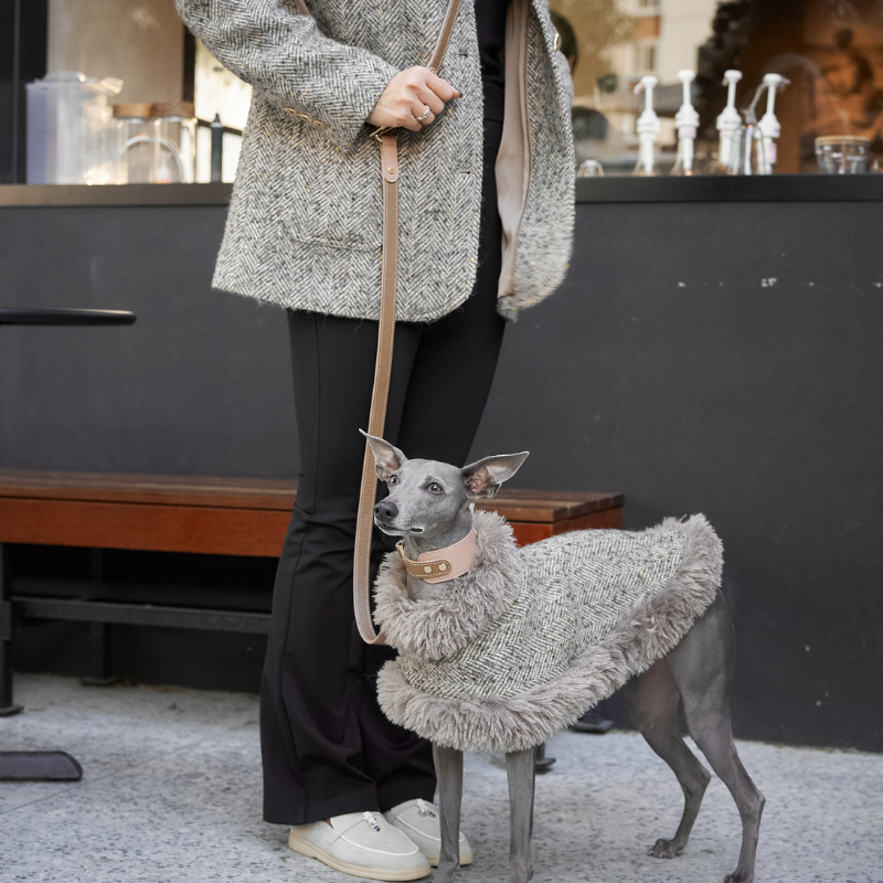 Blushwood Hands-Free Dog Leash