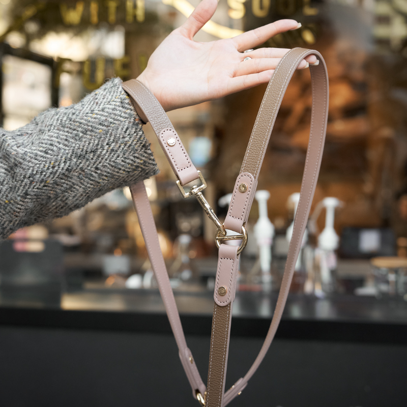 Blushwood Hands-Free Dog Leash