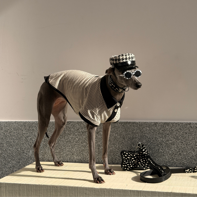 Brexton Double Layer Dog Polo