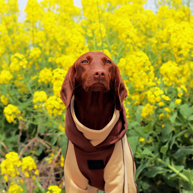 Hazelnut Hooded Onesie