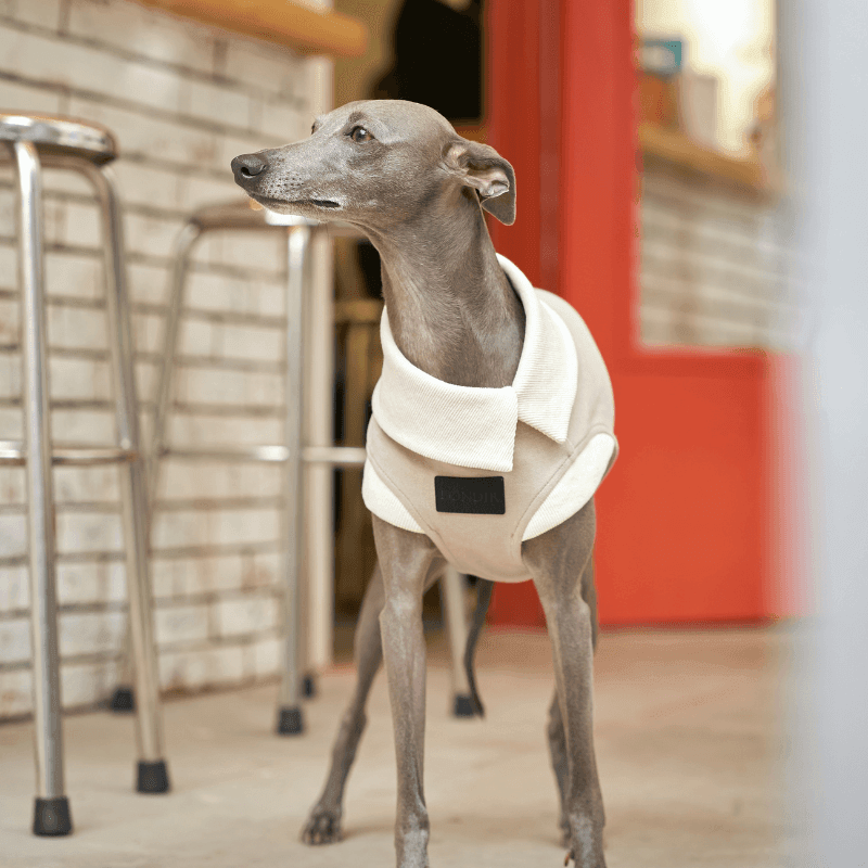 Ivory Asymmetric Collar Tank Top - BONDIR