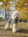 Emily in Paris Coat - BONDIR