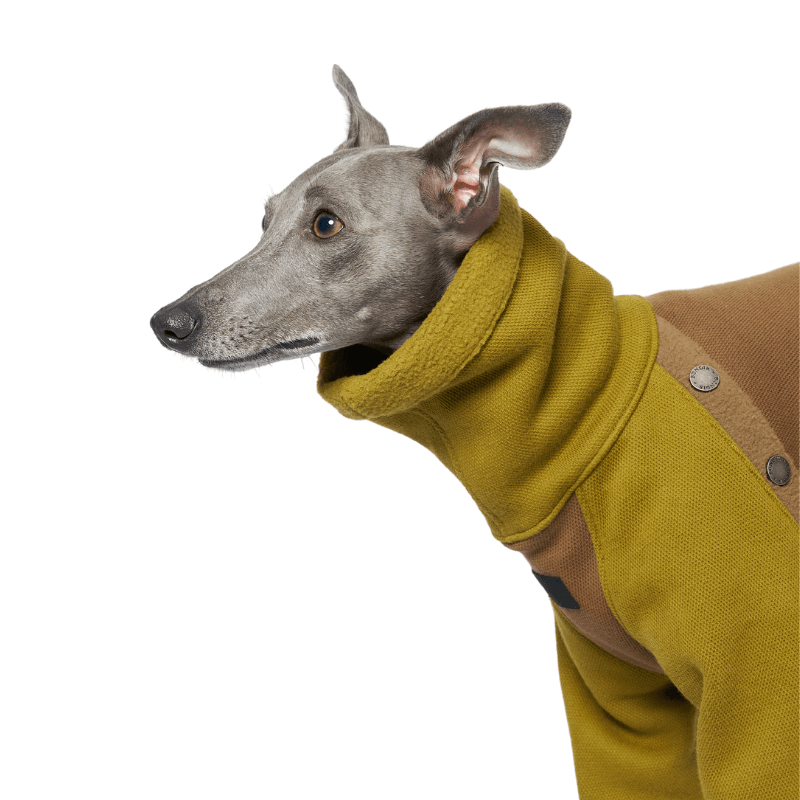 Mossy Teddy Fleece Sweater