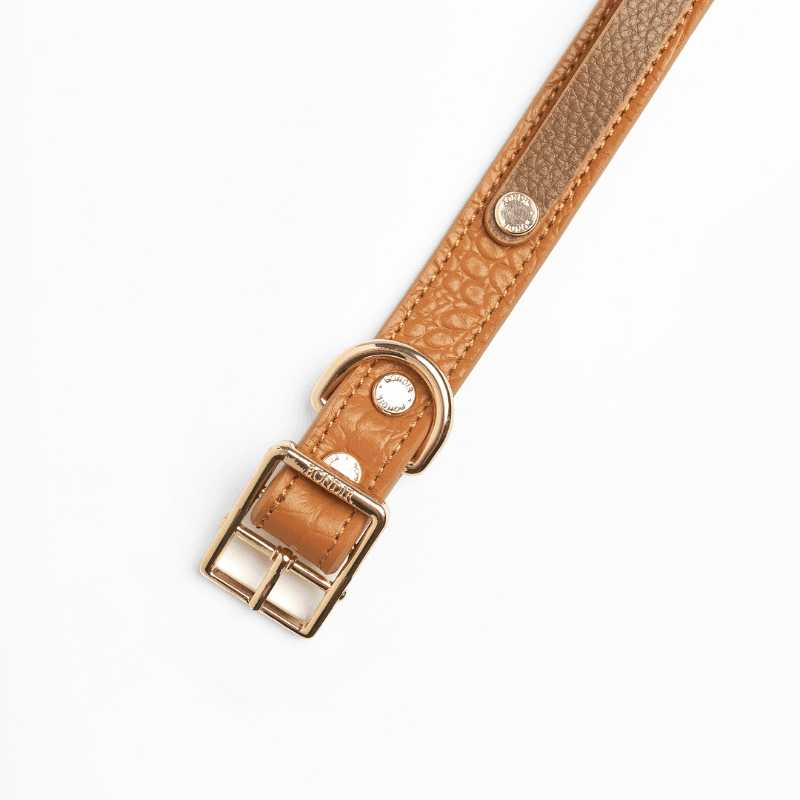 Slim Amber Leather Collar - BONDIR