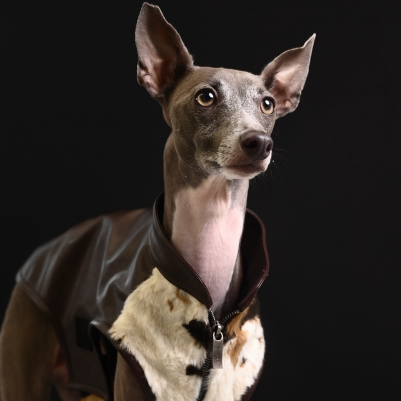 Baxley Cowhide Leather Vest