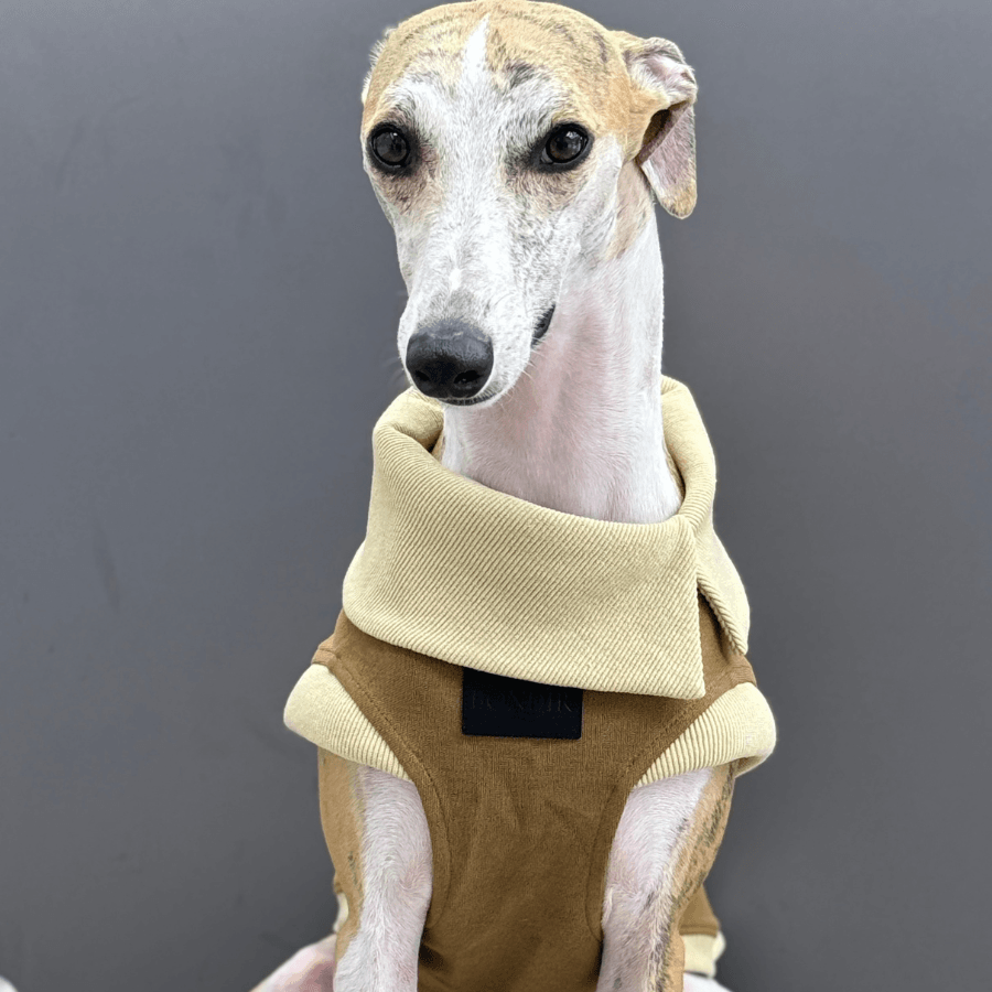 Rustique Asymmetric Collar Tank Top
