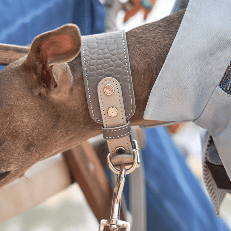 Moonstone Leather Collar - BONDIR