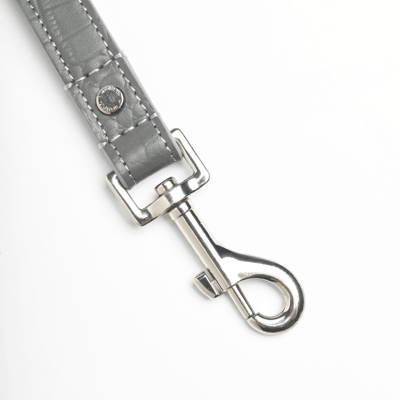 Moonstone Leather Dog Leash - BONDIR