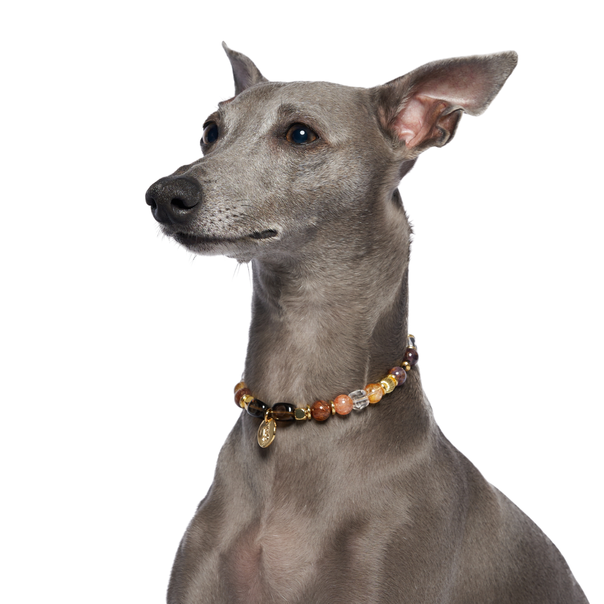 Solace Pet Crystal Necklace