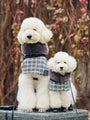 Moon River Coat - BONDIR