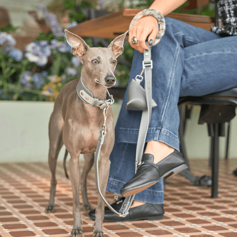 Moonstone Leather Dog Leash - BONDIR