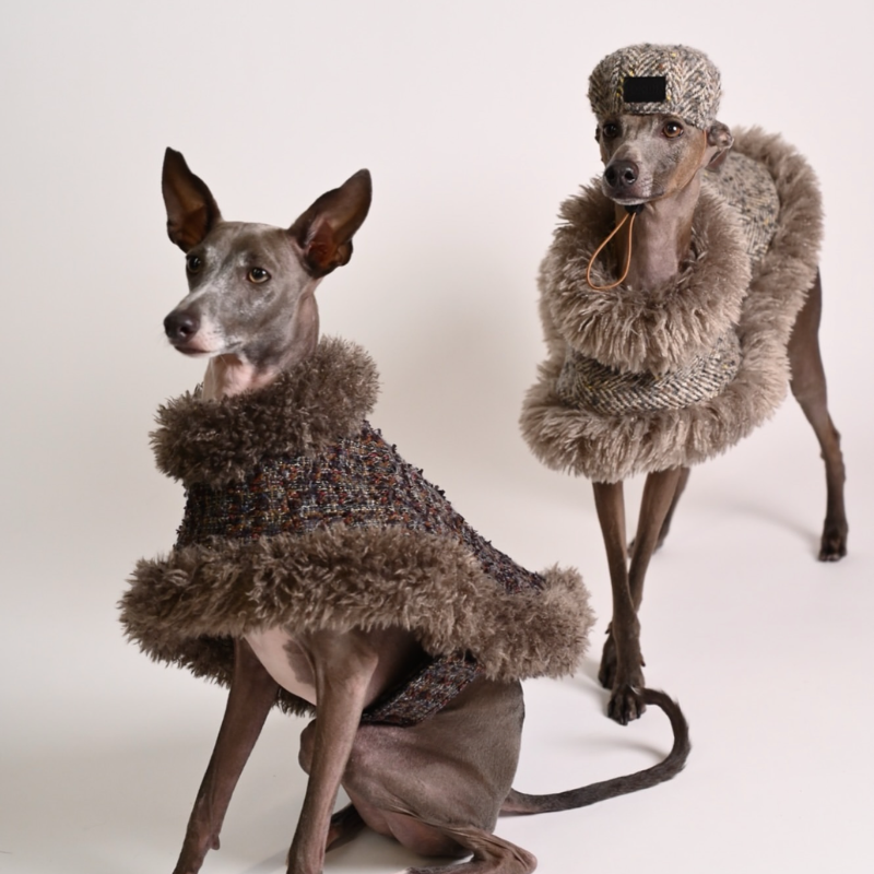 Sable Cape (Alpaca Wool Tweed)